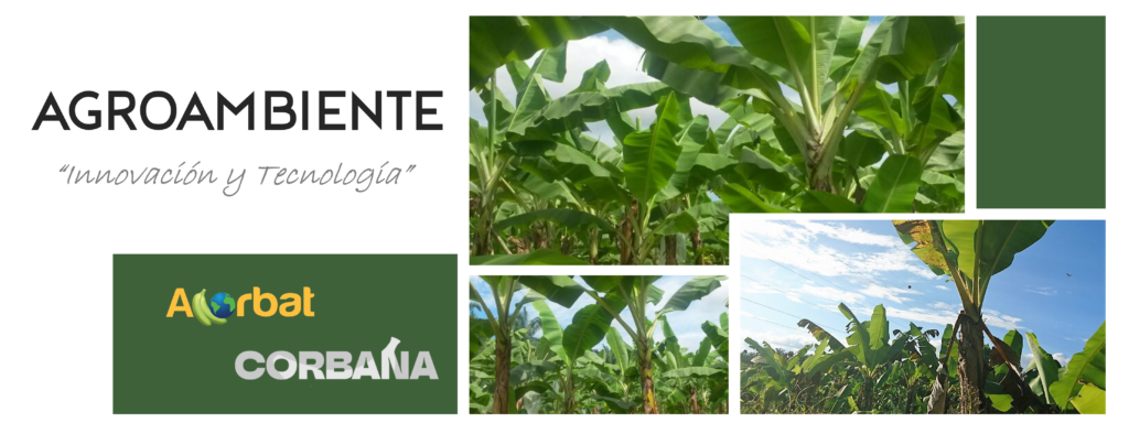 Agroambiente rumbo al futuro, ACORBAT México 2026 (Diciembre 2025 ...