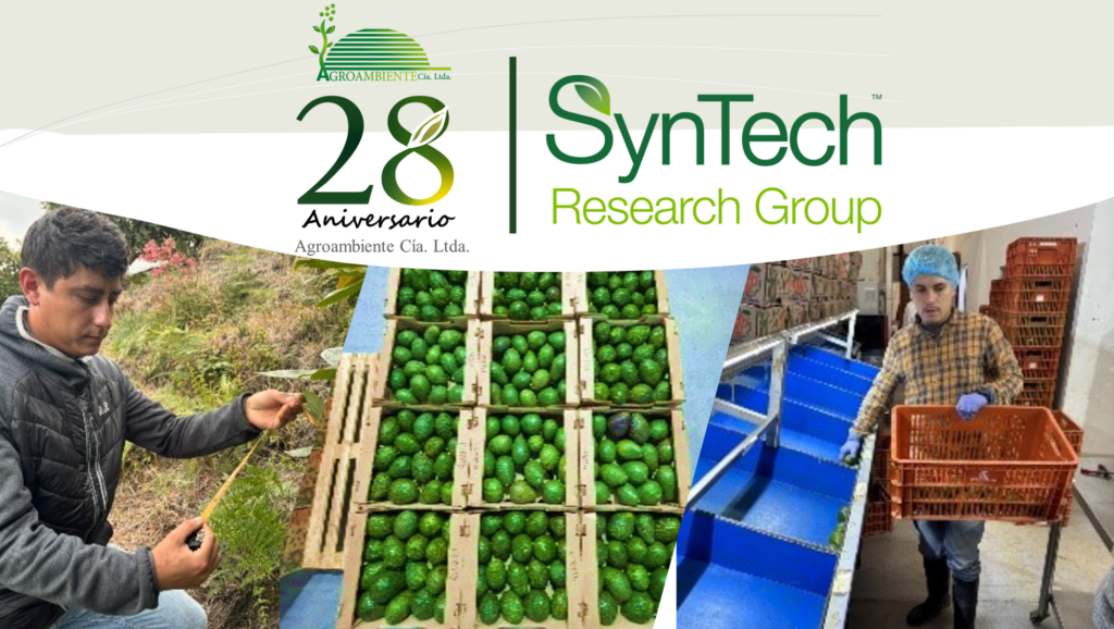 Cooperación regional en acción: SynTech Colombia impulsa intercambio técnico con Agroambiente Ecuador (Marzo 2026)