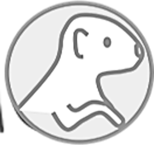 Logo INES